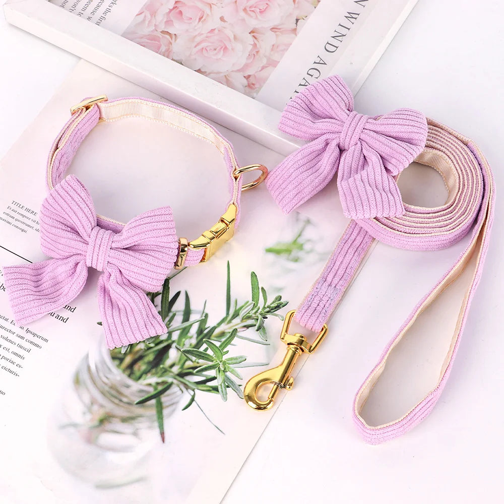 Soft Velvet Collar - FurryFinds
