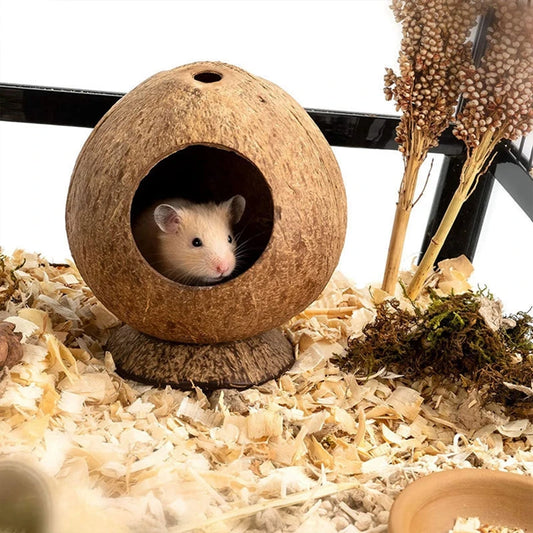 Hamster Supplies 