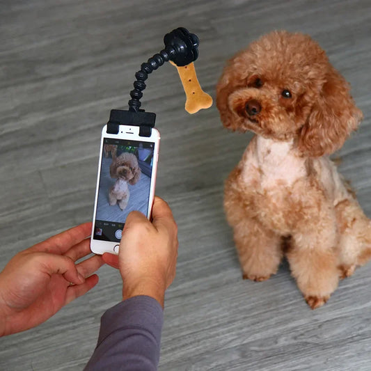 selfie stick 