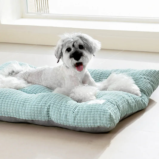 Dog Bed 