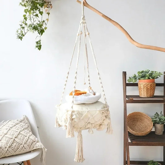 Cat Swing 