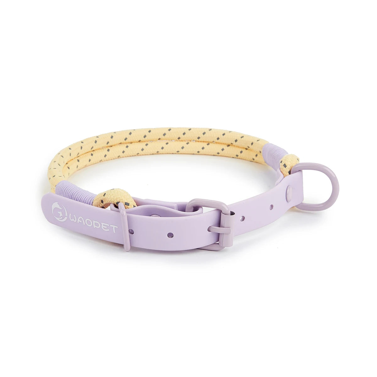 Candy Color Leash Set - FurryFinds