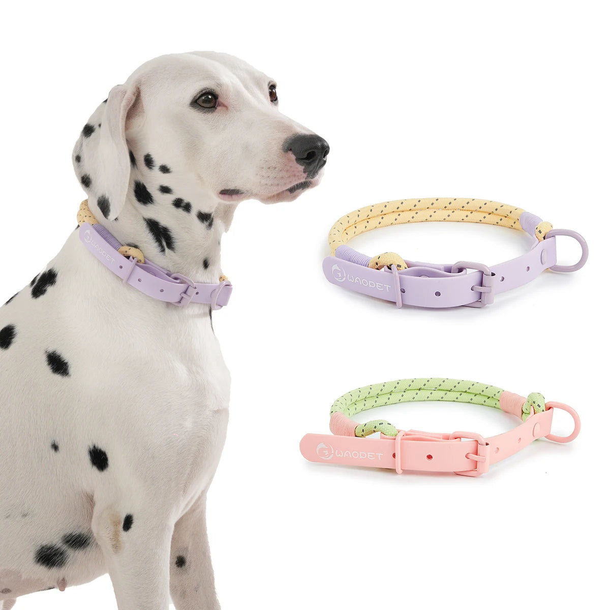 Candy Color Leash Set - FurryFinds